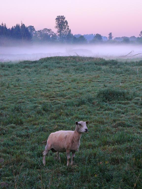 Huis Van Rooi Sint-Agatha-Rode Esterno foto